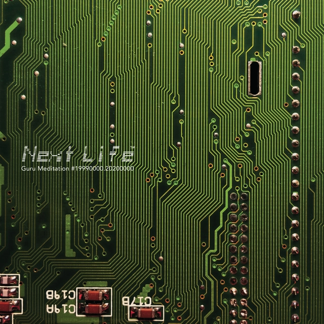 Next Life Guru Meditation (LP) 
