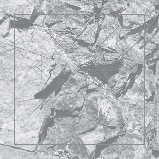 Ricardo Donoso Deterrence (LP) 