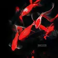 Sankt Otten Engtanz Depression (2LP)