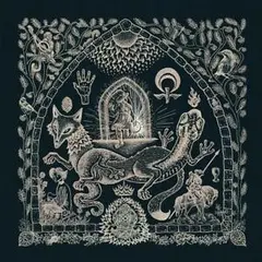 Petrels Dusk Loom (LP)