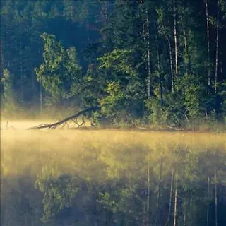 Oneirogen Plenitude (LP) 