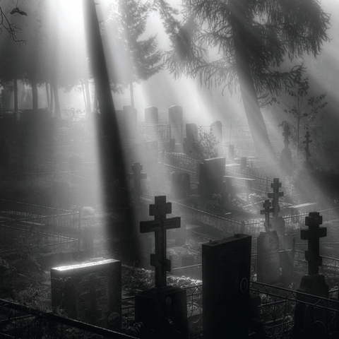 Oneirogen Veni Nox Anima (LP) 