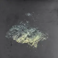 Multicast Dynamics Lost World (LP)