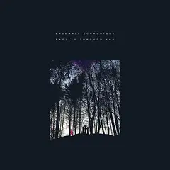 Ensemble Economique Radiate Through You (LP)