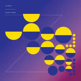 Ricardo Donoso Calibrate (LP) 
