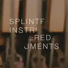 Matthew Collings Splintered Instruments (LP)