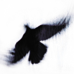 Blueneck Fallen Host (LP)