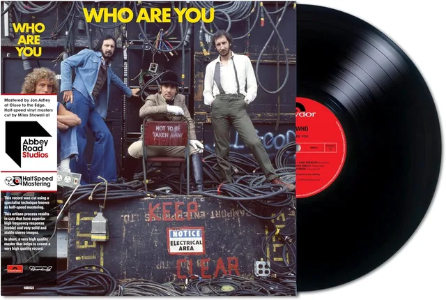 The Who Who Are You (LP) 