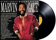 Marvin Gaye Every Great Motown Hit Of Marvin… (LP)