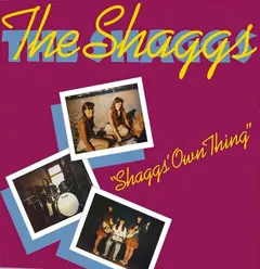 The Shaggs The Shaggs Own Thing (LP)