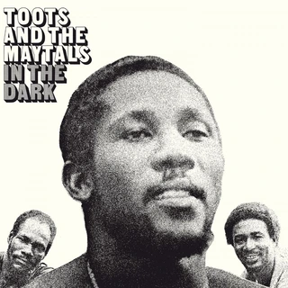 Toots &amp; The Maytals In The Dark (LP)