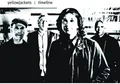 Yellowjackets Timeline (2LP)