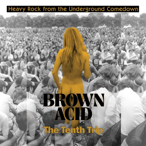 Diverse Artister Brown Acid - The Tenth Trip (LP) 
