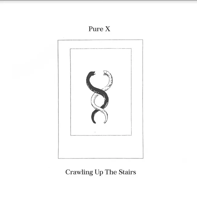 Pure X Crawling Up The Stairs (LP) 