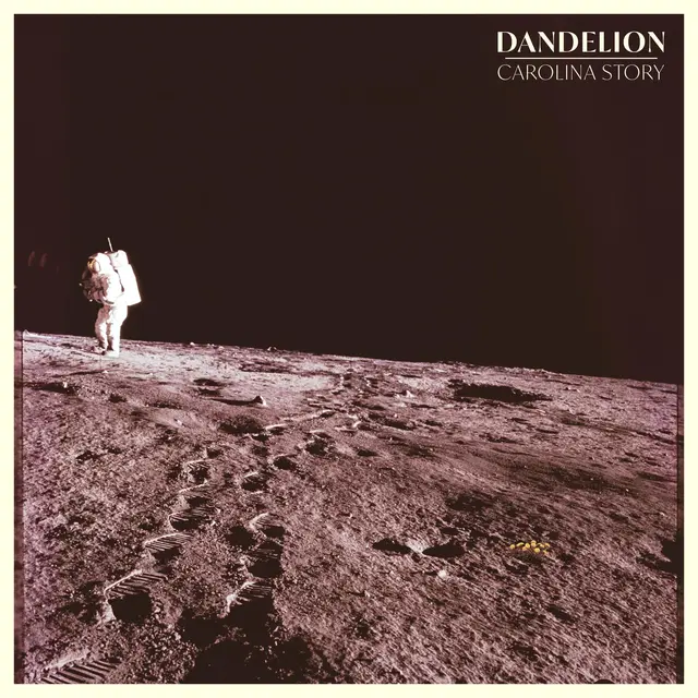 Carolina Story Dandelion (LP) 
