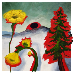 Woods Strange To Explain - LTD (LP)