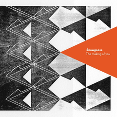 Snowgoose Making Of You (LP)