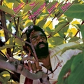 Junior Byles Rasta No Pickpocket (LP)