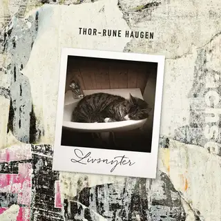 Thor-Rune Haugen Livsnyter (LP)