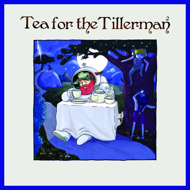 Yusuf/Cat Stevens Tea For The Tillerman² - Reimagined (LP) 