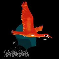 Meimuna Bestiaire II (LP)
