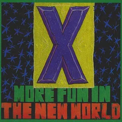 X More Fun In The New World (LP)