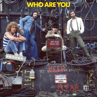The Who Who Are You: Deluxe Edition (4LP)