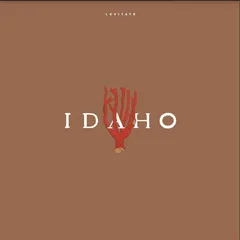 Idaho Levitate (LP)