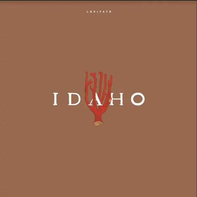 Idaho Levitate (LP) 