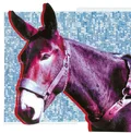 Protomartyr Ultimate Success Today (LP)
