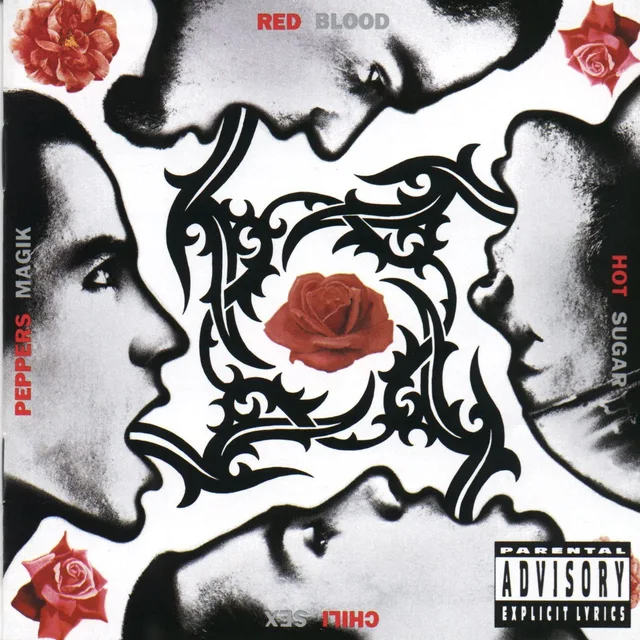 Red Hot Chili Peppers Blood Sugar Sex Magik (2LP) 