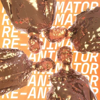 Everything Everything Re-Animator - LTD (LP)