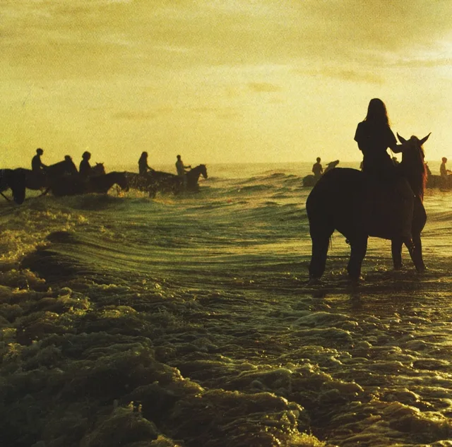 Foals Holy Fire (LP) 