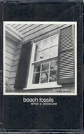 Beach Fossils What A Pleasure (MC)