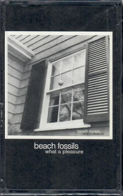 Beach Fossils What A Pleasure (MC)