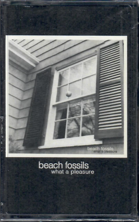 Beach Fossils What A Pleasure (MC) 