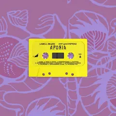 Sufjan Stevens &amp; Lowell Brams Aporia (MC)