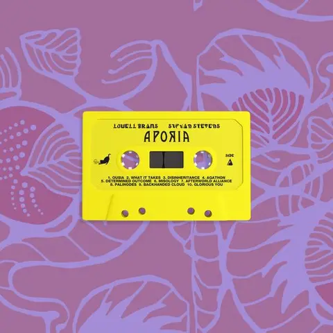 Sufjan Stevens & Lowell Brams Aporia (MC) 