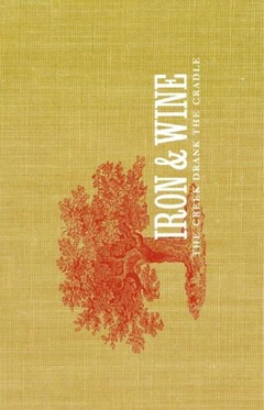 Iron &amp; Wine The Creek Drank The Cradle (MC)