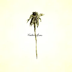Patrick Watson Wooden Arms (2LP)
