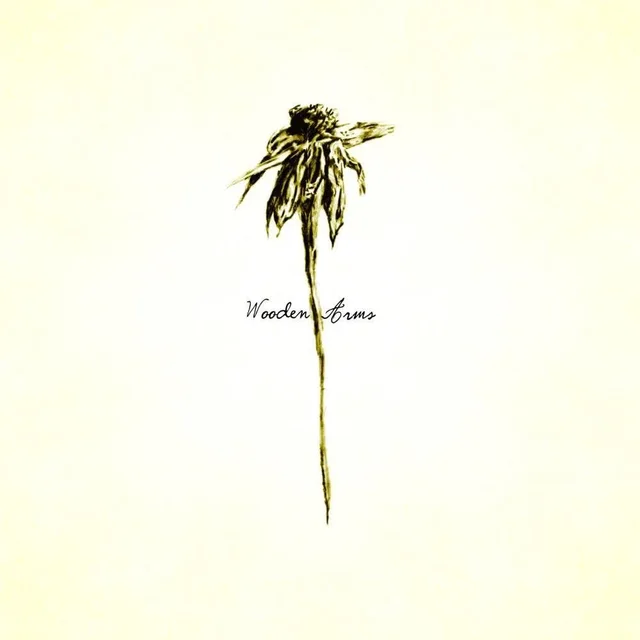 Patrick Watson Wooden Arms (2LP) 