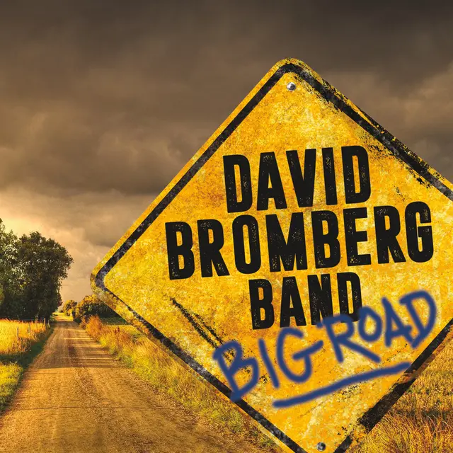 David Bromberg Band Big Road (LP) 