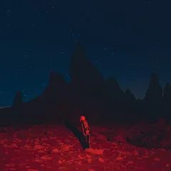 Phoebe Bridgers Punisher (LP)