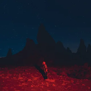 Phoebe Bridgers Punisher (LP)