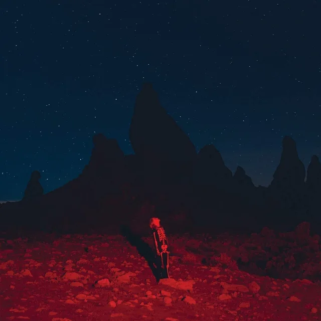 Phoebe Bridgers Punisher (LP) 