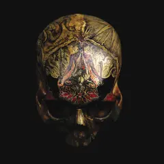Blight Temple Of Wounds (2LP)