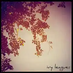 Ivy League Tx Summer Sessions - LTD (7")