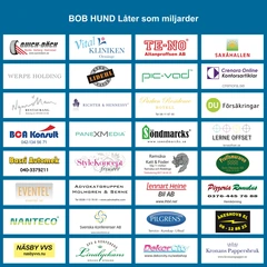 Bob Hund Låter Som Miljarder (LP)