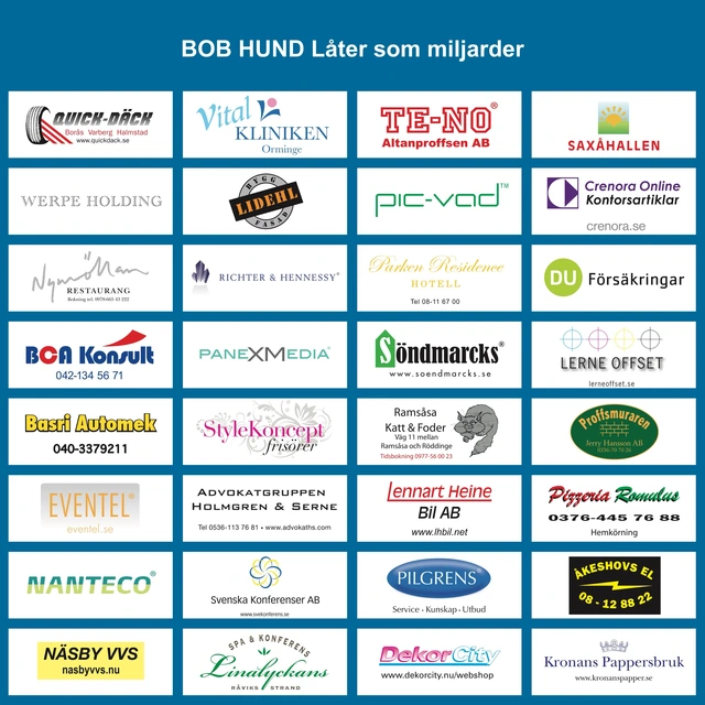 Bob Hund Låter Som Miljarder (LP) 