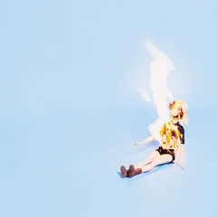 Well Wisher This Is Fine - LTD (LP)
